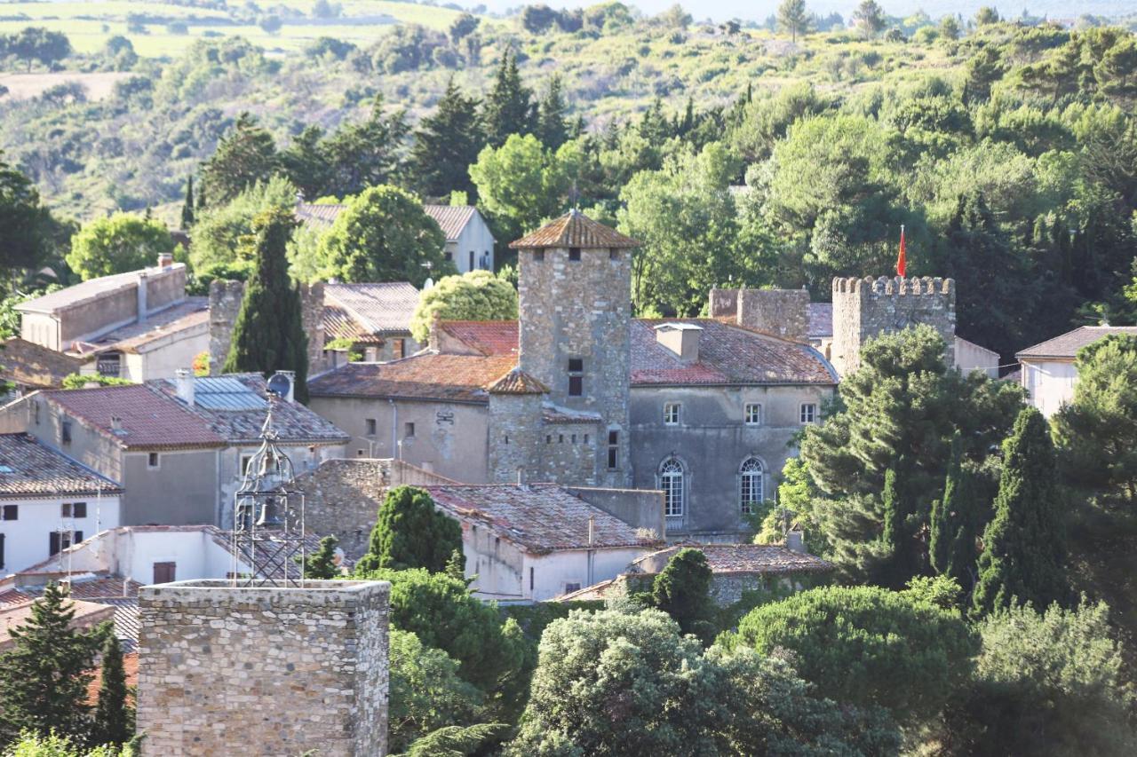 Chateau D'Agel Chambres D'Hotes エクステリア 写真
