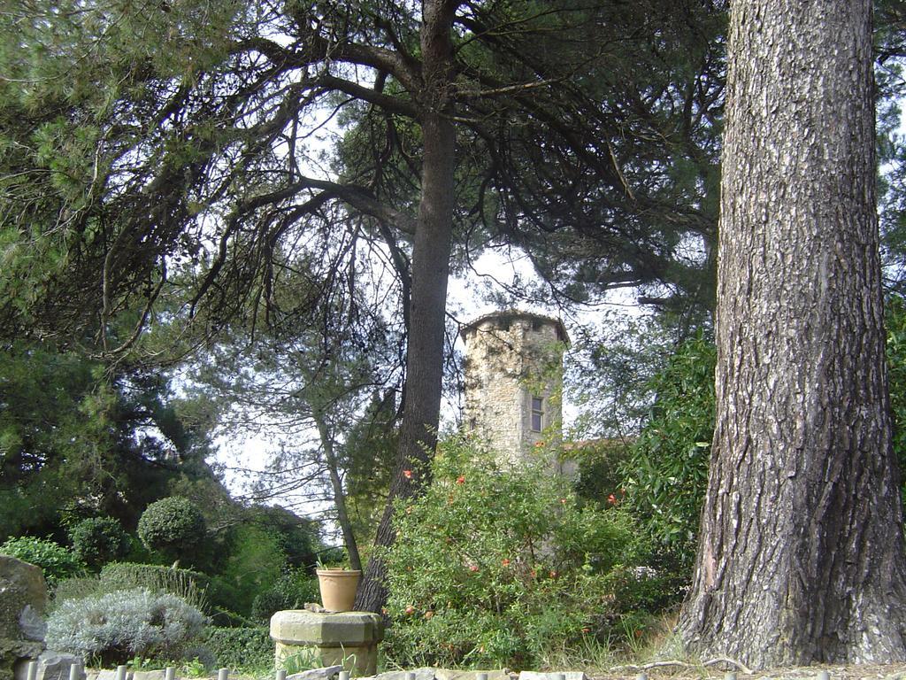 Chateau D'Agel Chambres D'Hotes エクステリア 写真
