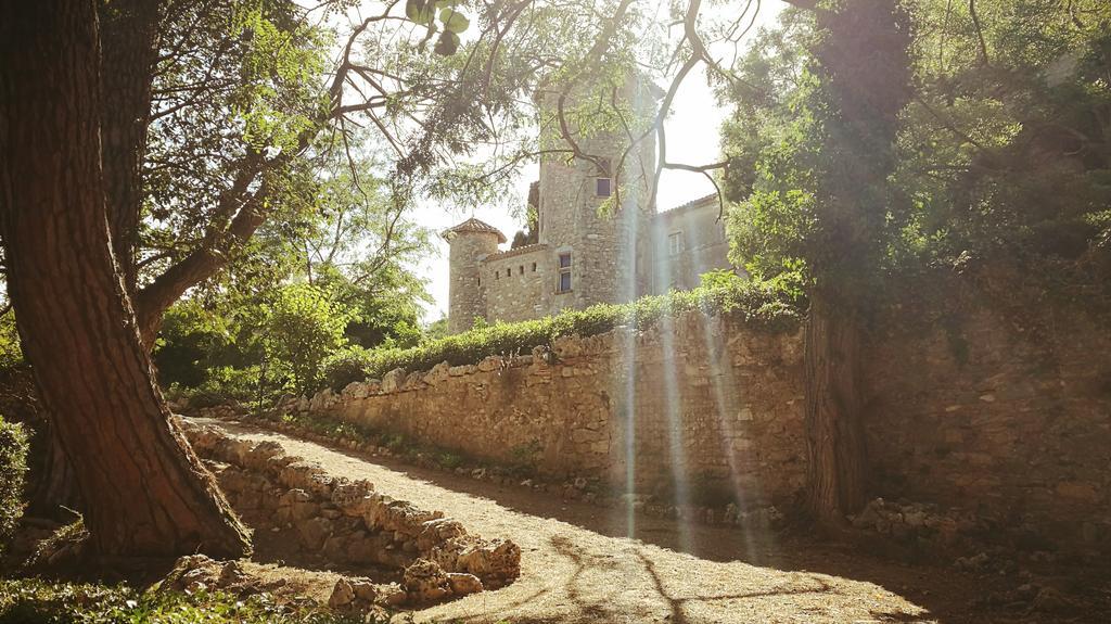 Chateau D'Agel Chambres D'Hotes エクステリア 写真