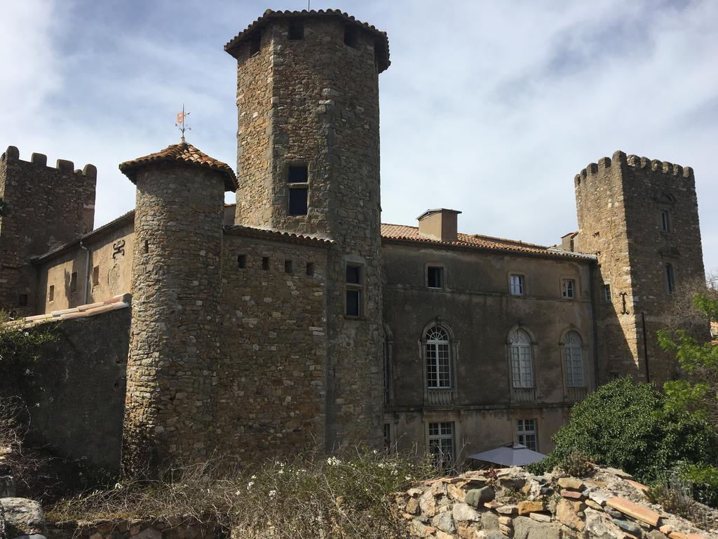 Chateau D'Agel Chambres D'Hotes エクステリア 写真